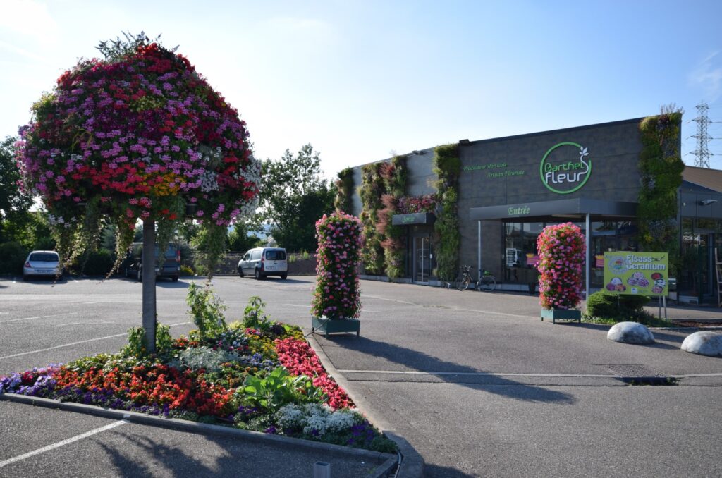 Fleurs Barthel - Fleurs et Plantes d'Alsace